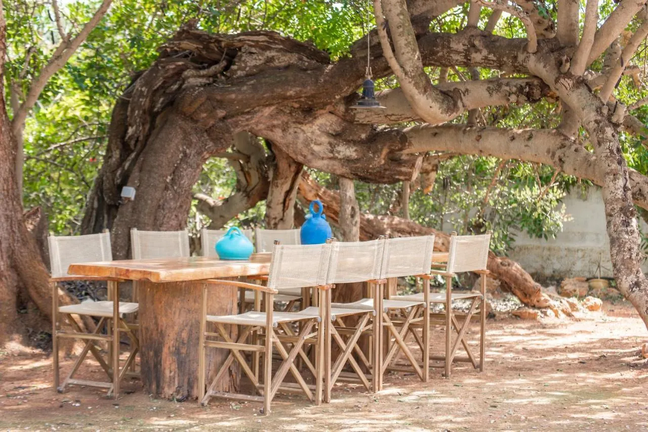 Villa Finca Relax Ibiza Stile San José Espagne